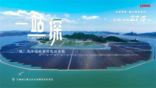 震撼！63.7萬塊隆基組件建起灘涂上的鋼鐵森林