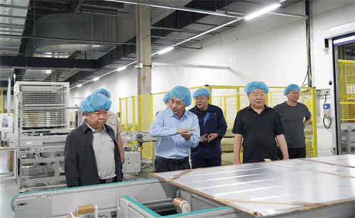 河北省科技廳副廳長張永強一行赴英利發展調研產業科技創新情況